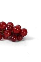 red Grapes isolated on white background photo