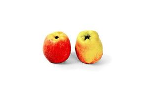 Red yellow apple on white background photo