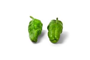 green bell pepper on white background photo