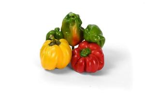 yellow and red peppers white background photo