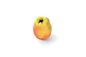 Red yellow apple on white background photo