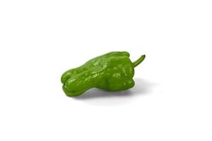 green bell pepper on white background photo