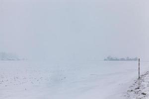 winter landscape, field photo