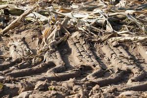 trail tractor, close up photo