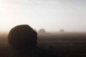 Big haystack, close up photo