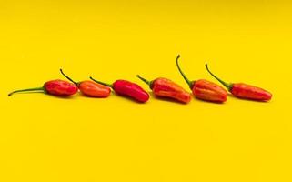 close up photo of red chili with yellow isolated background