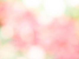 Blurred flowers background design. Soft focus of flowers. photo