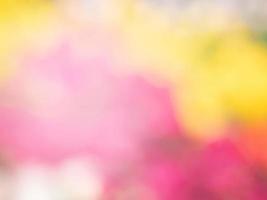 Blurred flowers background design. Soft focus of flowers. photo