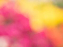 Blurred flowers background design. Soft focus of flowers. photo