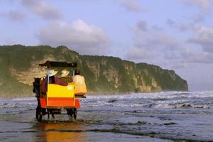 horse carriage running on the beach with a hill background photo