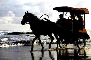 carruaje de caballos corriendo en la playa foto