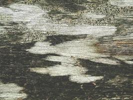 old wood texture photo