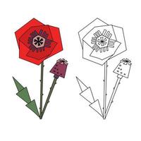 Coloring hand drawn line drawing of a poppy and color poppy for example. Vector natural elements for design