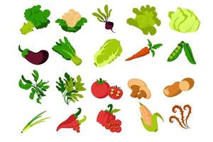 conjunto de verduras vector ilustración conjunto estilo plano