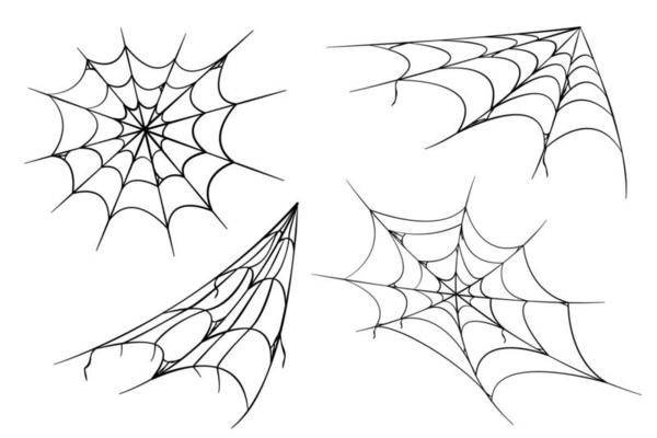 Black halloween cobweb set on white background. Vector illustration, clip art. Happy halloween. Line vector silhouette. Illustration for web design