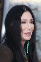 LOS ANGELES, JUL 6 - Cher arriving at the Zookeeper Premiere at Regency Village Theater on July 6, 2011 in Westwood, CA photo