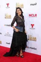 LOS ANGELES, OCT 10 - Yvette Yates at the ALMA Awards Arrivals 2014 at Civic Auditorium on October 10, 2014 in Pasadena, CA photo