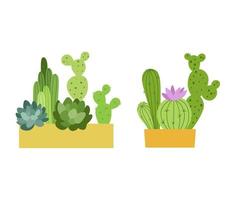 Cactus flat color illustrations. Home plant in pot. Vector cute potted succulent in simple style isolated on white background