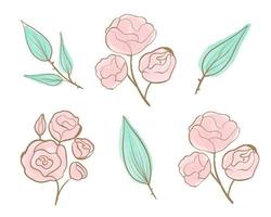 Set of floral branch. Flower pink rose, green leaves. Wedding concept with flowers. Roses drawn with golden one line and pink watercolor. vector