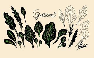 verdes, siluetas de hojas dibujadas a mano ilustraciones vectoriales de bocetos de garabatos. elementos de estilo moderno para el diseño del menú. vector