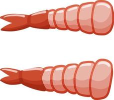 Shrimp. Meat and seafood. Tail of sea animal. vector