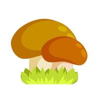 A large mushroom with a brown cap. Natural cep. Food ingredient. Autumn harvest. vector