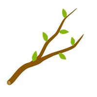 Tree branch with leaf on white background illustration. Plant Element of wood and nature. Flat simple illustration vector