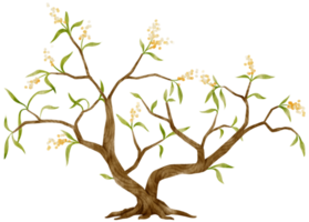 arbre d'automne avec illustration aquarelle de fleurs jaunes pour élément décoratif png