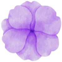 fiore viola dipinto ad acquerello per elemento decorativo png