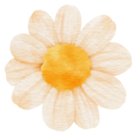 acuarela de flor blanca pintada para elemento decorativo png