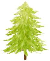 Pine Tree watercolor illustration for Decorative Element png