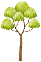 boom aquarel illustratie voor decoratief element png