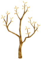 albero autunnale con foglie gialle illustrazione ad acquerello per elemento decorativo png