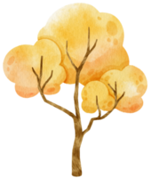 albero autunnale con foglie gialle illustrazione ad acquerello per elemento decorativo png