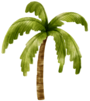 ilustración de acuarela de árbol de coco para elemento decorativo png