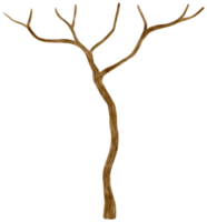 Blattloser toter Baum trockene Baumaquarellillustration für dekoratives Element png