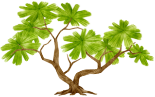 ilustración de acuarela de árbol para elemento decorativo png