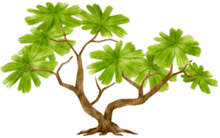 illustrazione dell'acquerello dell'albero per elemento decorativo png