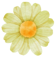 grön blomma akvarell målad för dekorativt element png