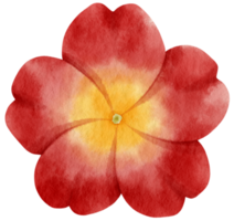 aquarela de flor vermelha pintada para elemento decorativo png