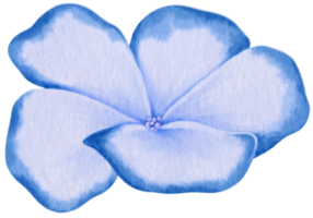 ilustração em aquarela de flores azuis png