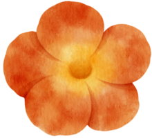 linda ilustración de acuarela de flores rojas png