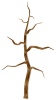 Blattloser toter Baum trockene Baumaquarellillustration für dekoratives Element png