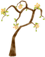 árbol de otoño con flores amarillas ilustración acuarela para elemento decorativo png