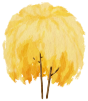 albero autunnale con foglie gialle illustrazione ad acquerello per elemento decorativo png