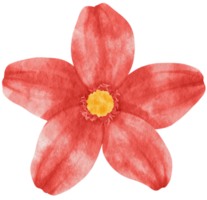 aquarela de flor vermelha pintada para elemento decorativo png