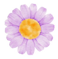 Purple flower watercolor painted for Decorative Element png