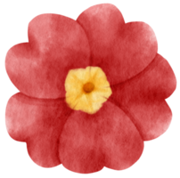 Red flower watercolor painted for Decorative Element png