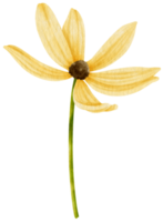 Yellow flower watercolor style for Decorative Element png