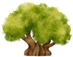 ilustración de acuarela de árbol para elemento decorativo png